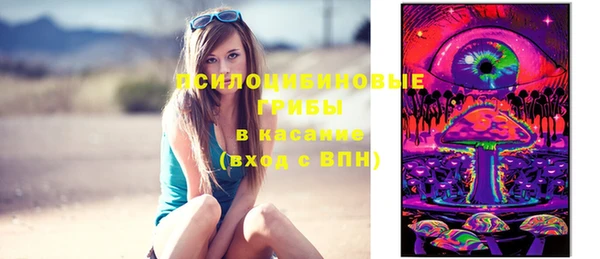 сатива Алзамай