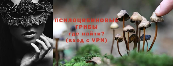 сатива Алзамай