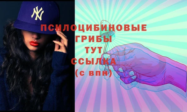 сатива Алзамай