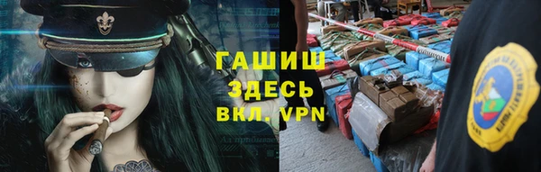 сатива Алзамай