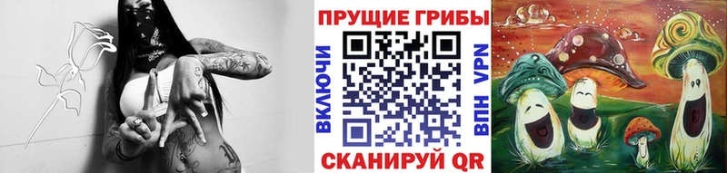 Псилоцибиновые грибы GOLDEN TEACHER  Михайловск 